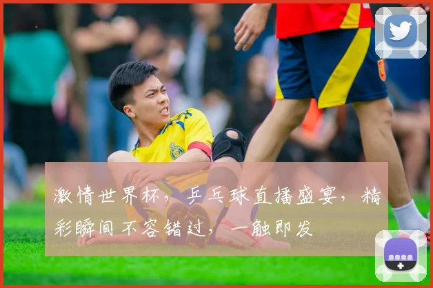 激情世界杯，乒乓球直播盛宴，精彩瞬间不容错过，一触即发