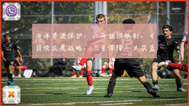 海洋资源保护，公海捕捞限制，可持续发展战略，三重保障，共筑蓝色家园