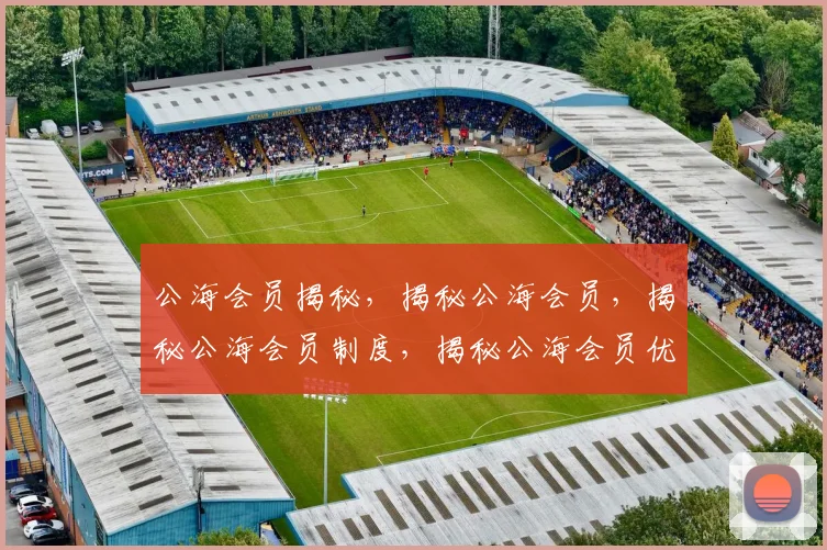公海会员揭秘，揭秘公海会员，揭秘公海会员制度，揭秘公海会员优势