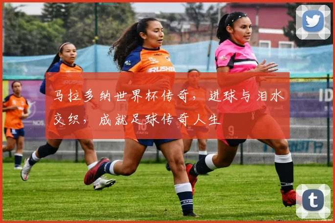 马拉多纳世界杯传奇，进球与泪水交织，成就足球传奇人生