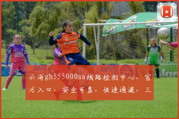 公海gh555000aa线路检测中心，官方入口，安全可靠，快速通道，三重保障